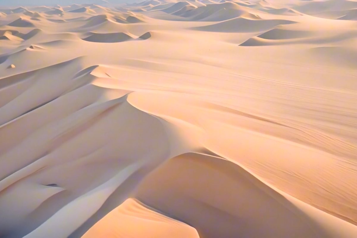 Sand dunes in the Algerian Sahara at low sun.